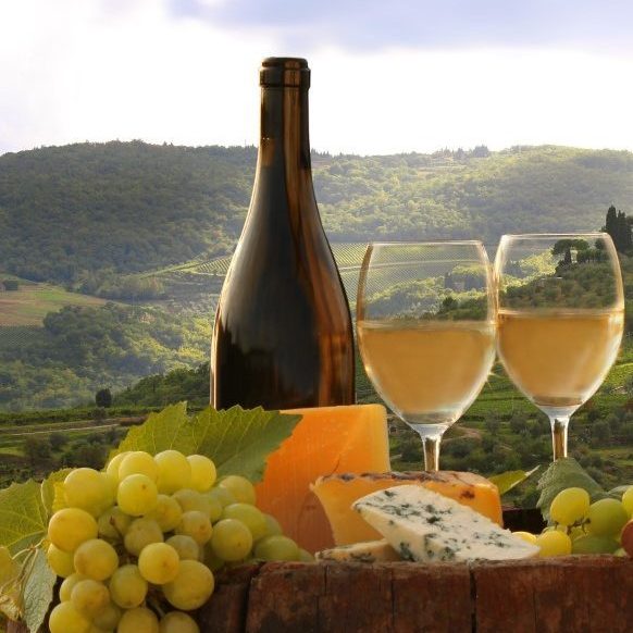 White wine with barrel on vineyard 